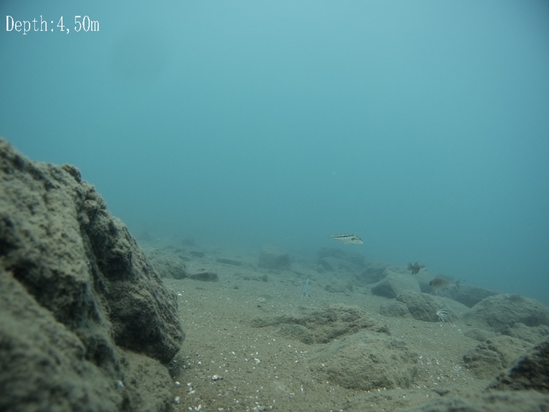 Chinyankwazi Island 14